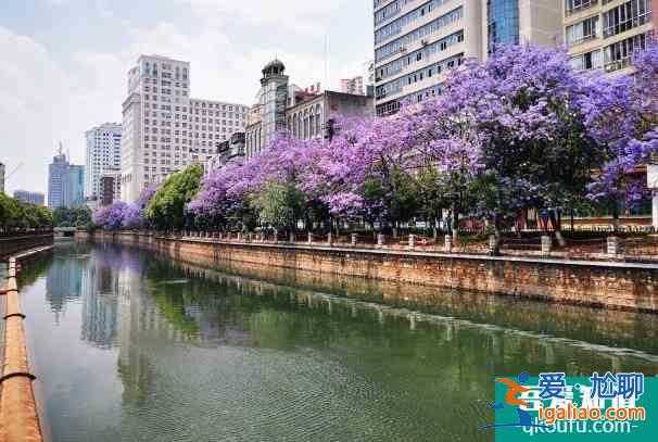 2022昆明受冰雪天气影响部分景区暂时关闭？