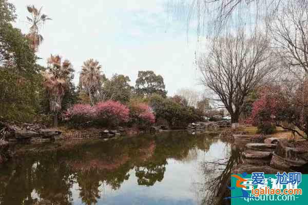 2022杭州超山风景区门票多少钱 门票价格调整？