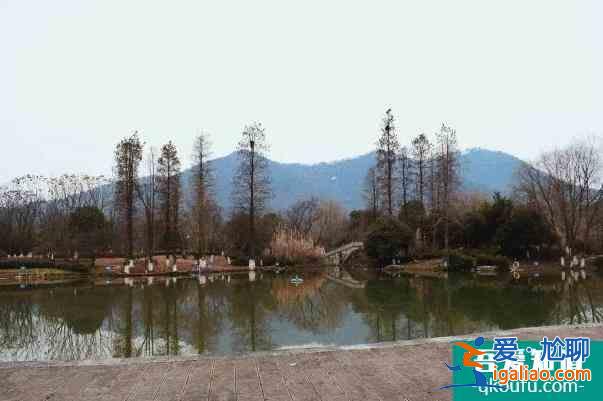 2022杭州超山风景区门票多少钱 门票价格调整？