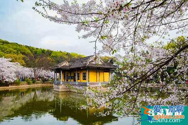 2022无锡鼋头渚樱花雪糕在哪里买?附价格及口味介绍？