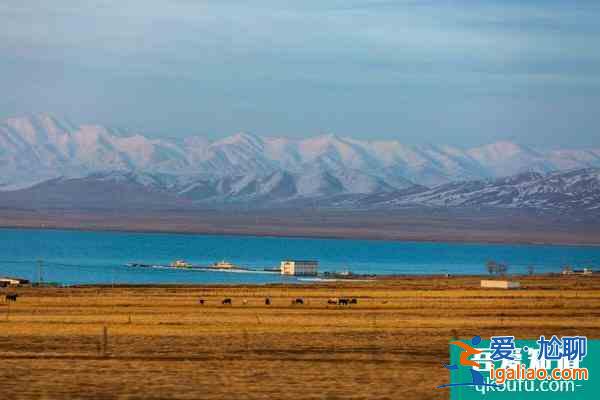 1月26日起青海湖、茶卡盐湖景区陆续恢复开放？