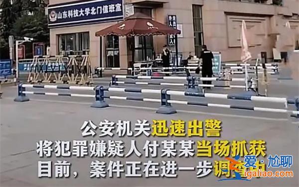 山东大学持刀伤人案件导致1死6伤，嫌犯被警方当场抓获[公共安全]？