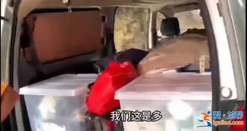 网友贵州自驾游被查 因车内装有生活用品被交警认定“人货混装”？