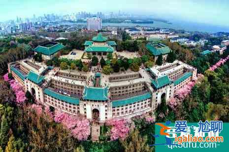 2022武汉大学校友预约樱花攻略？