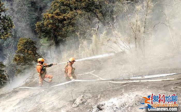 四川稻城县雷击森林火灾扑救进行中 火场地形复杂多为断崖？