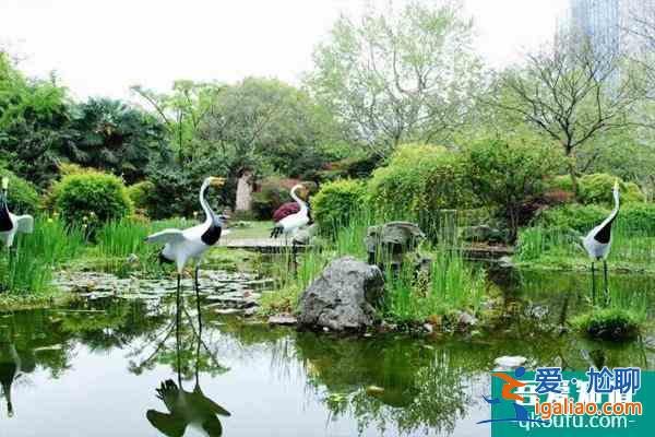 2022上海公园春季赏花指南 上海赏花好去处？