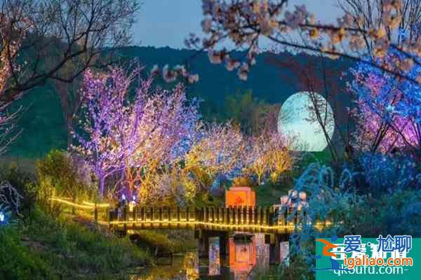 无锡拈花湾樱花什么时候开2022 最佳赏樱时间及赏樱地点？