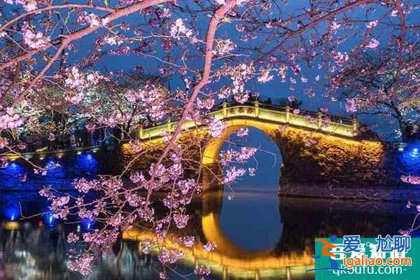 2022无锡鼋头渚赏樱花攻略 附最佳时间及赏樱路线？