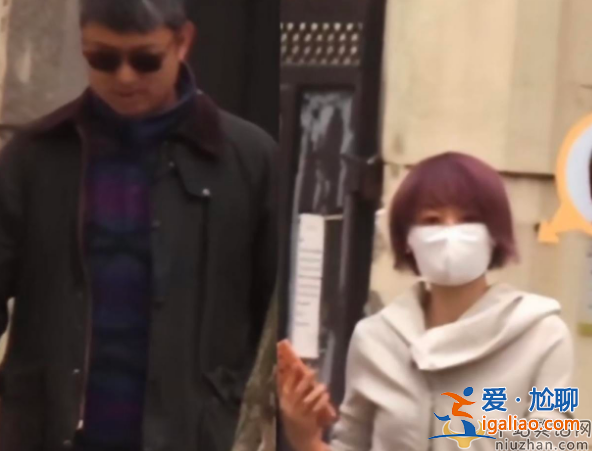 马伊琍新恋情曝光!男方高大壮硕疑似圈外人 一起散步遛狗同回小区