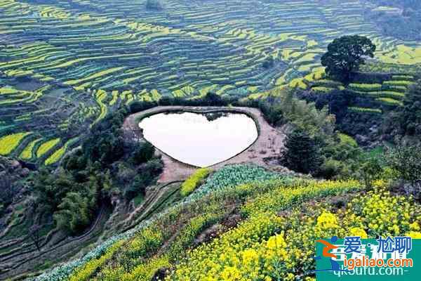 婺源油菜花旅游攻略 几月份最好？