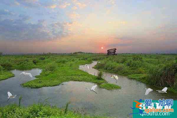 泗洪洪泽湖湿地公园开放时间一览？