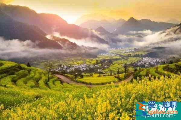 婺源油菜花旅游攻略 几月份最好？