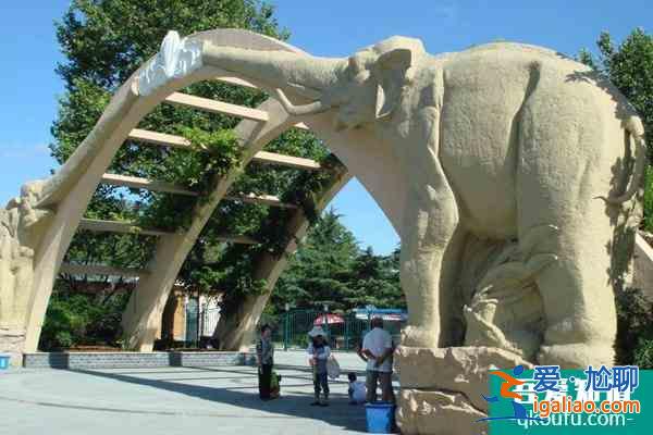 上海动物园团游优惠政策2022？