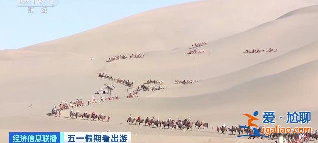 甘肃敦煌的景区里“堵骆驼”了 还有专门为骆驼设计的红绿灯？