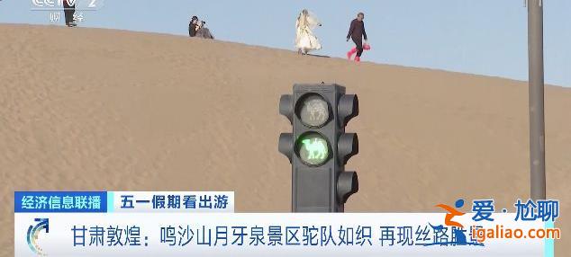 甘肃敦煌的景区里“堵骆驼”了 还有专门为骆驼设计的红绿灯？