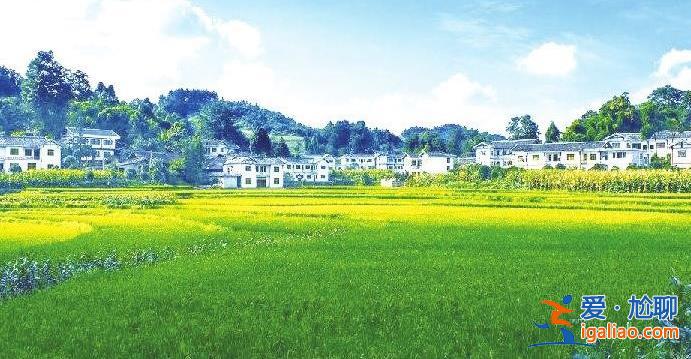 详细解读 新型农村集体经济发展的现状、问题与对策？