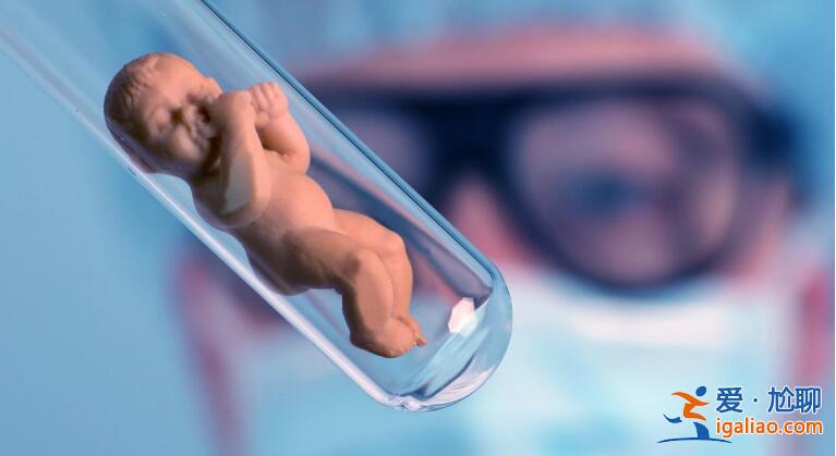 移植囊胚和第三天胚胎的区别?试管囊胚和胚胎的区别?？