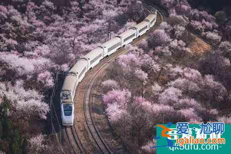 2022北京看樱花的地方在哪？