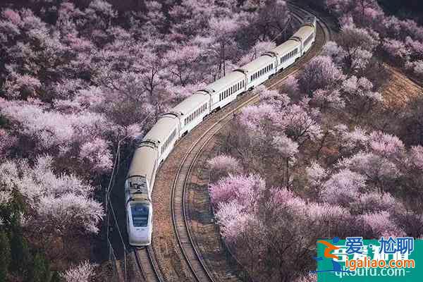 北京赏樱花的地方哪里最好2022 北京樱花公园在哪里？