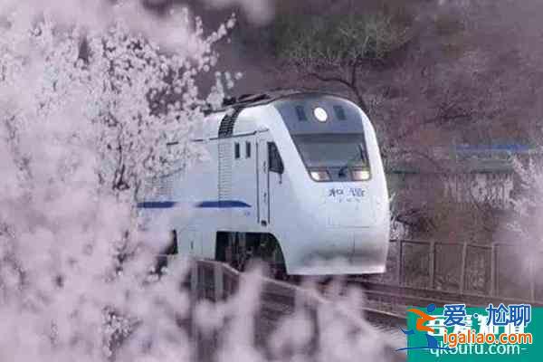 北京最浪漫的樱花列车 北京樱花列车攻略？