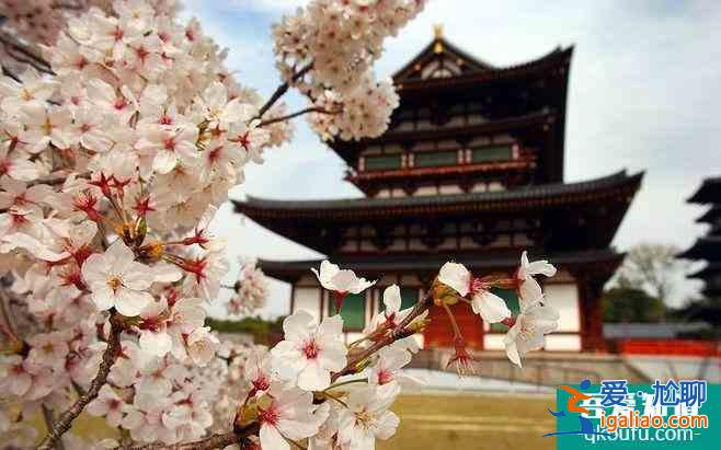 2022日本樱花最佳观赏时间 日本哪里樱花好看？