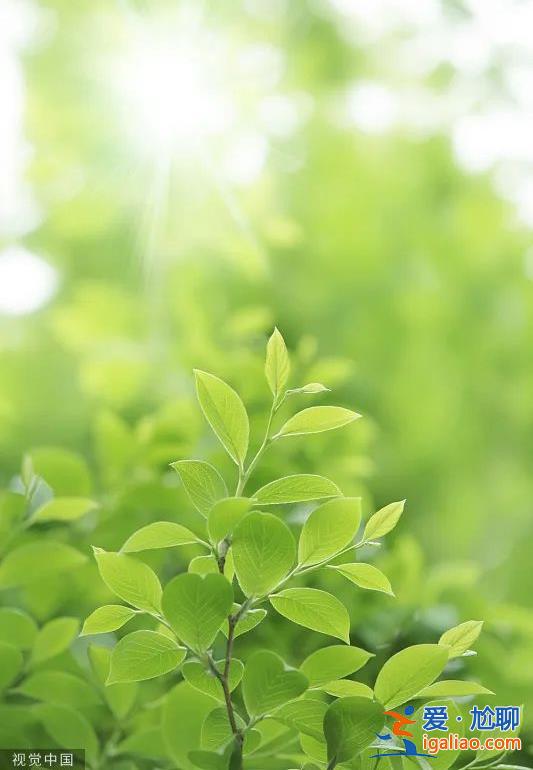万物生长 不负韶华？