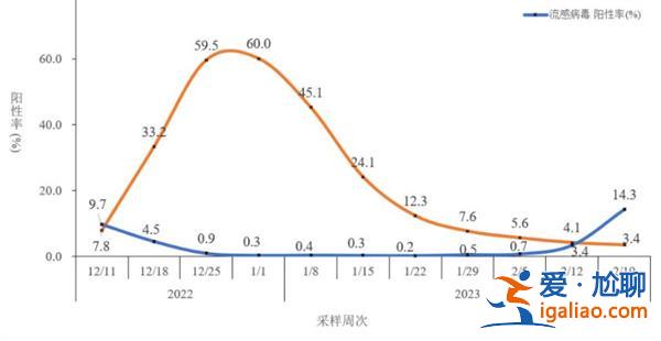 二阳会大规模来袭吗[来袭]？