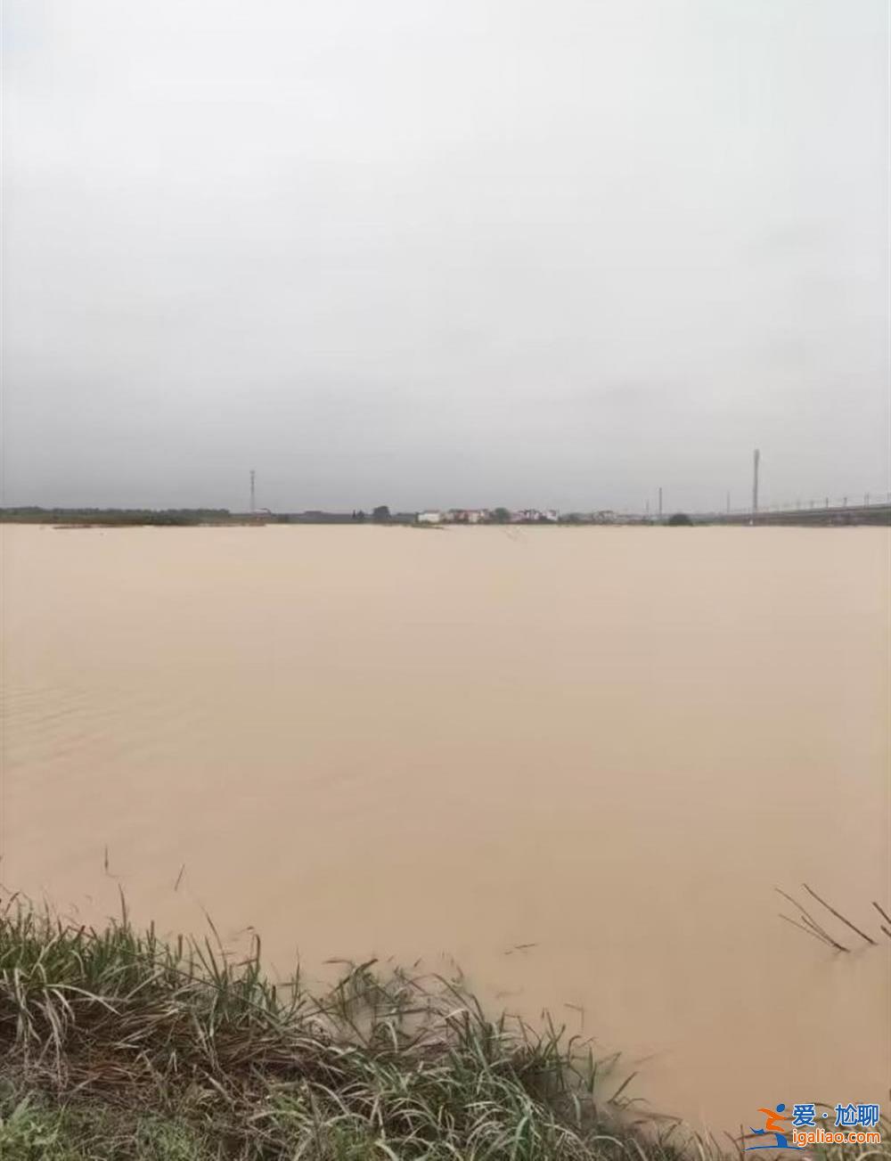 村民遇大水“敲门”住进学校 有农户稻田鱼塘均被淹？