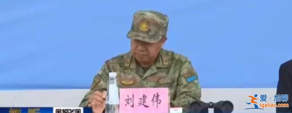 两天里三位将军以新职亮相？