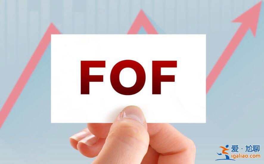 FOF基金怎么选择 按照这四大标准选购？