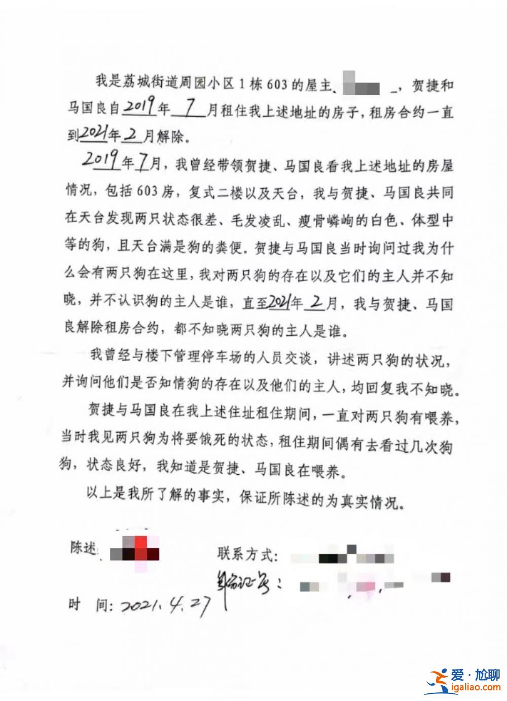喂养两条“弃狗” 一对年轻夫妻被指控盗窃罪、判处拘役4个月？