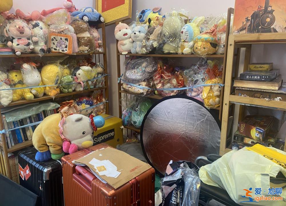 喂养两条“弃狗” 一对年轻夫妻被指控盗窃罪、判处拘役4个月？