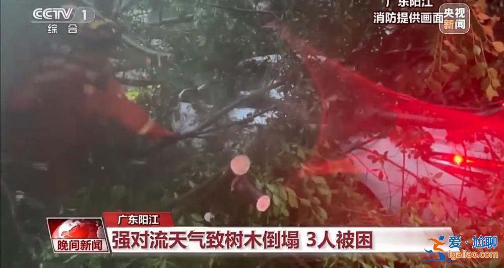 南方全面入汛 近期华南雨水仍频繁？