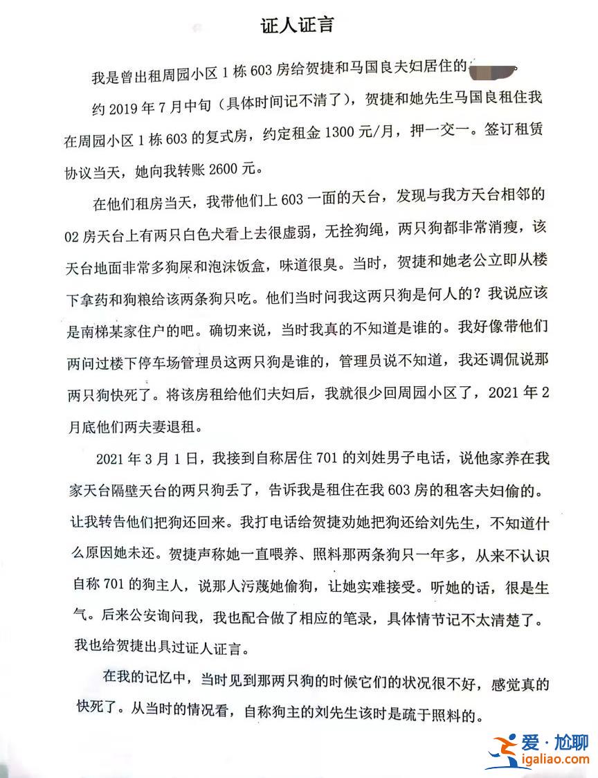 喂养两条“弃狗” 一对年轻夫妻被指控盗窃罪、判处拘役4个月？