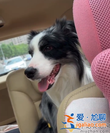 李小璐新恋情是谁?李小璐和pgone还在一起吗?