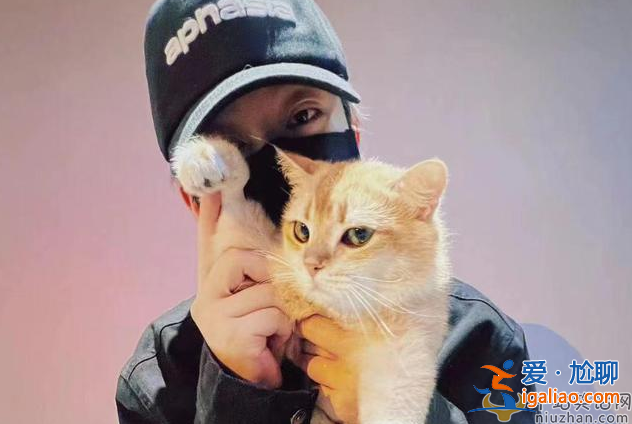 李小璐新恋情是谁?李小璐和pgone还在一起吗?