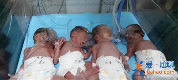 女子诞下四胞胎后又怀四胞胎，四胞胎妈妈回复是家族遗传[家族遗传]？