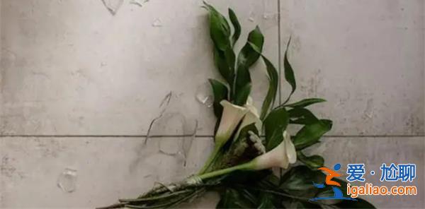 全职太太离婚发现丈夫资产过亿，财产转移到前妻女儿名下[丈夫]？