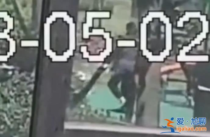 遛狗男子将6岁儿童打成脑震荡被刑拘 网友希望重判！？