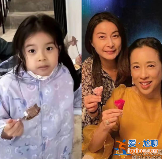 霍启刚几个孩?仨娃正脸曝光似三胞胎，一家五口庆祝母亲节