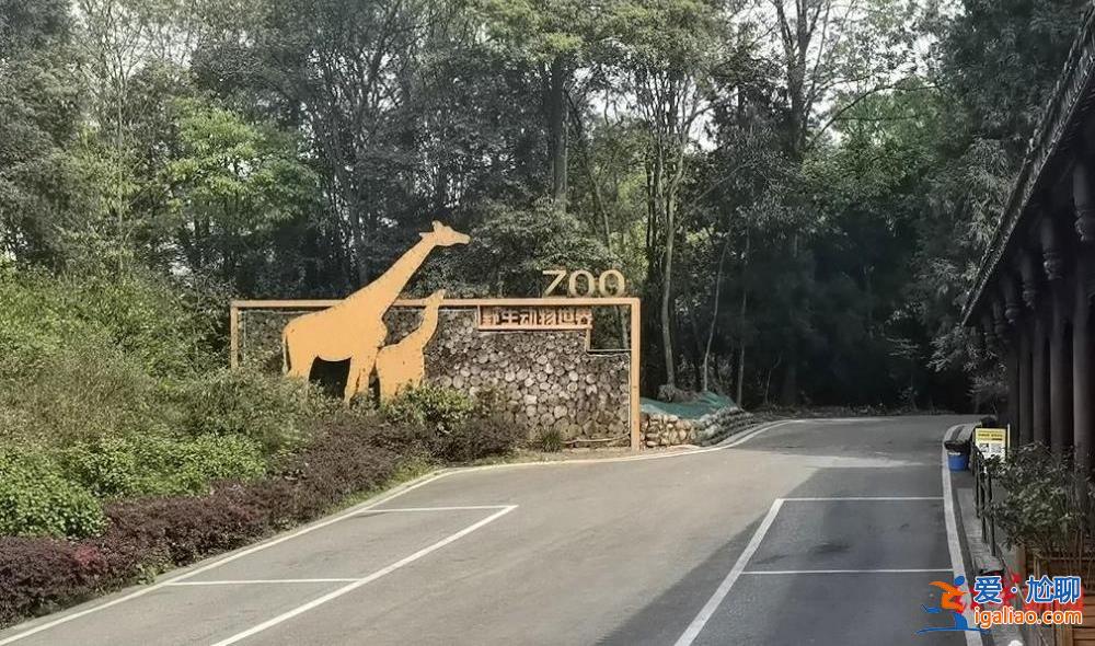 警方解救后寄养动物园 涉案野生动物救助待规范？