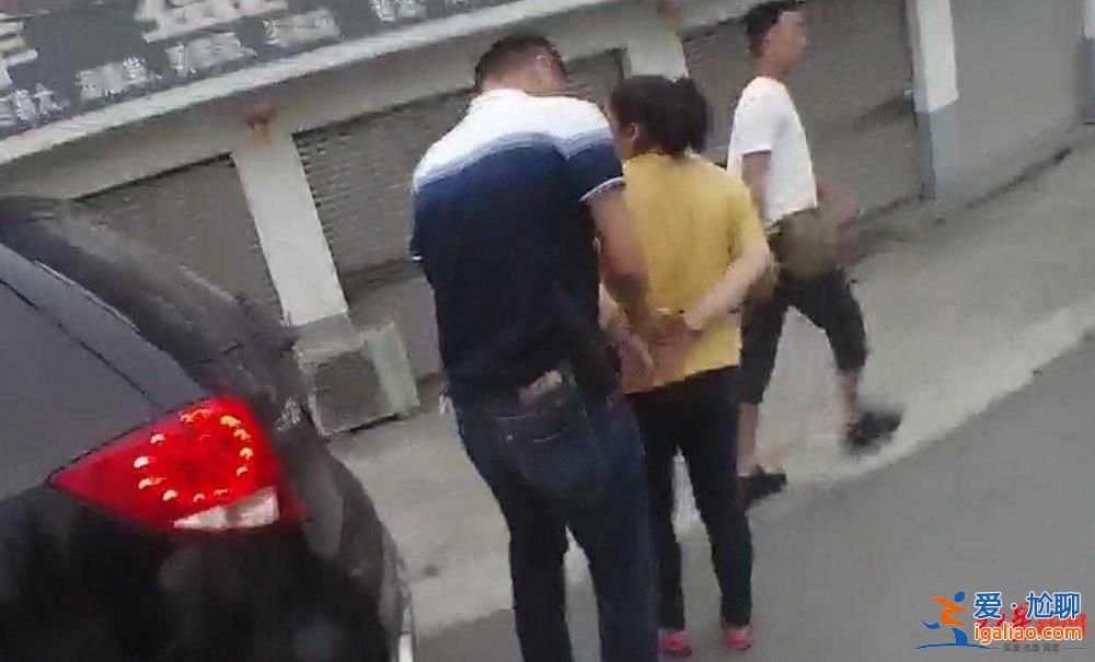 警方解救后寄养动物园 涉案野生动物救助待规范？
