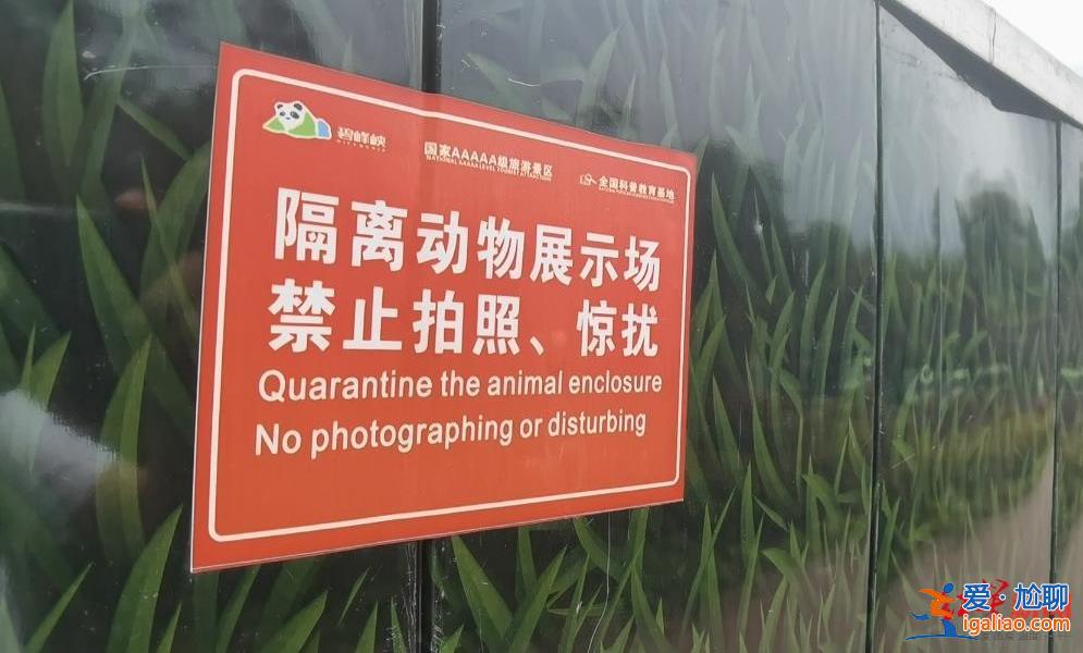 警方解救后寄养动物园 涉案野生动物救助待规范？