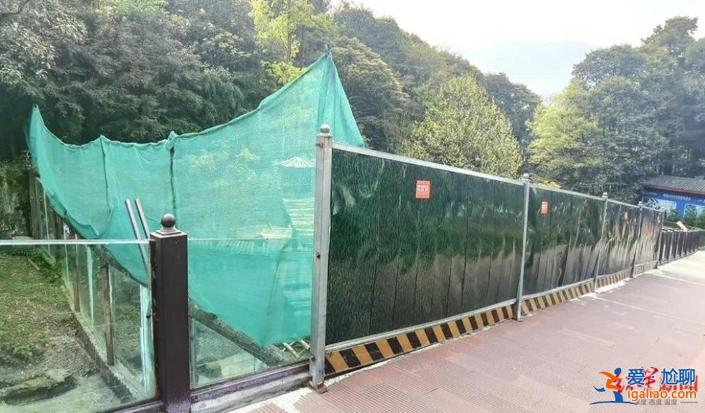 警方解救后寄养动物园 涉案野生动物救助待规范？