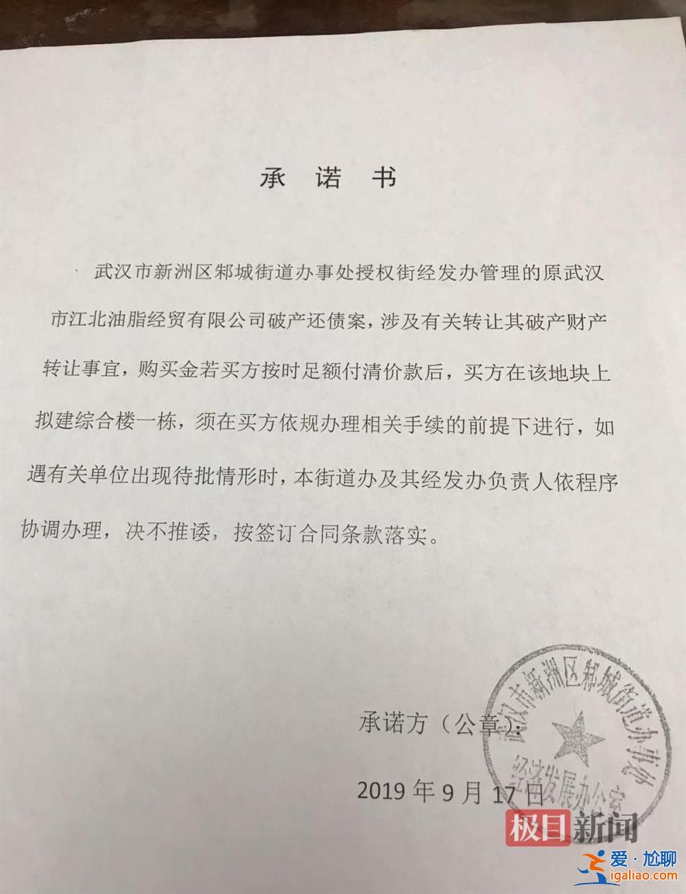 拍得政府土地却被告知无使用权 湖北新洲一投资人被拖至几近破产？