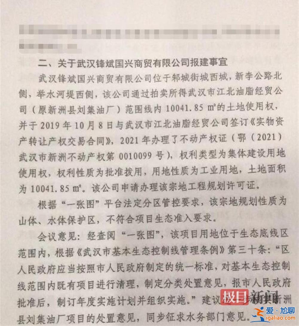 拍得政府土地却被告知无使用权 湖北新洲一投资人被拖至几近破产？