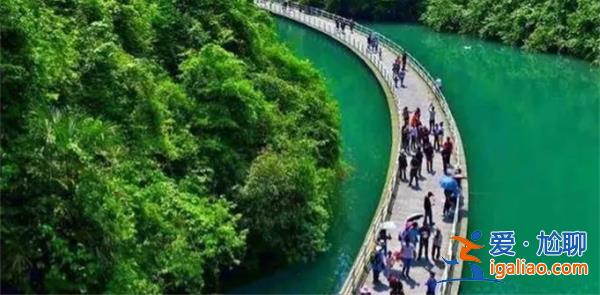 网红桥坠河车辆乘客，景区要求限速20码[景区限速20码]？