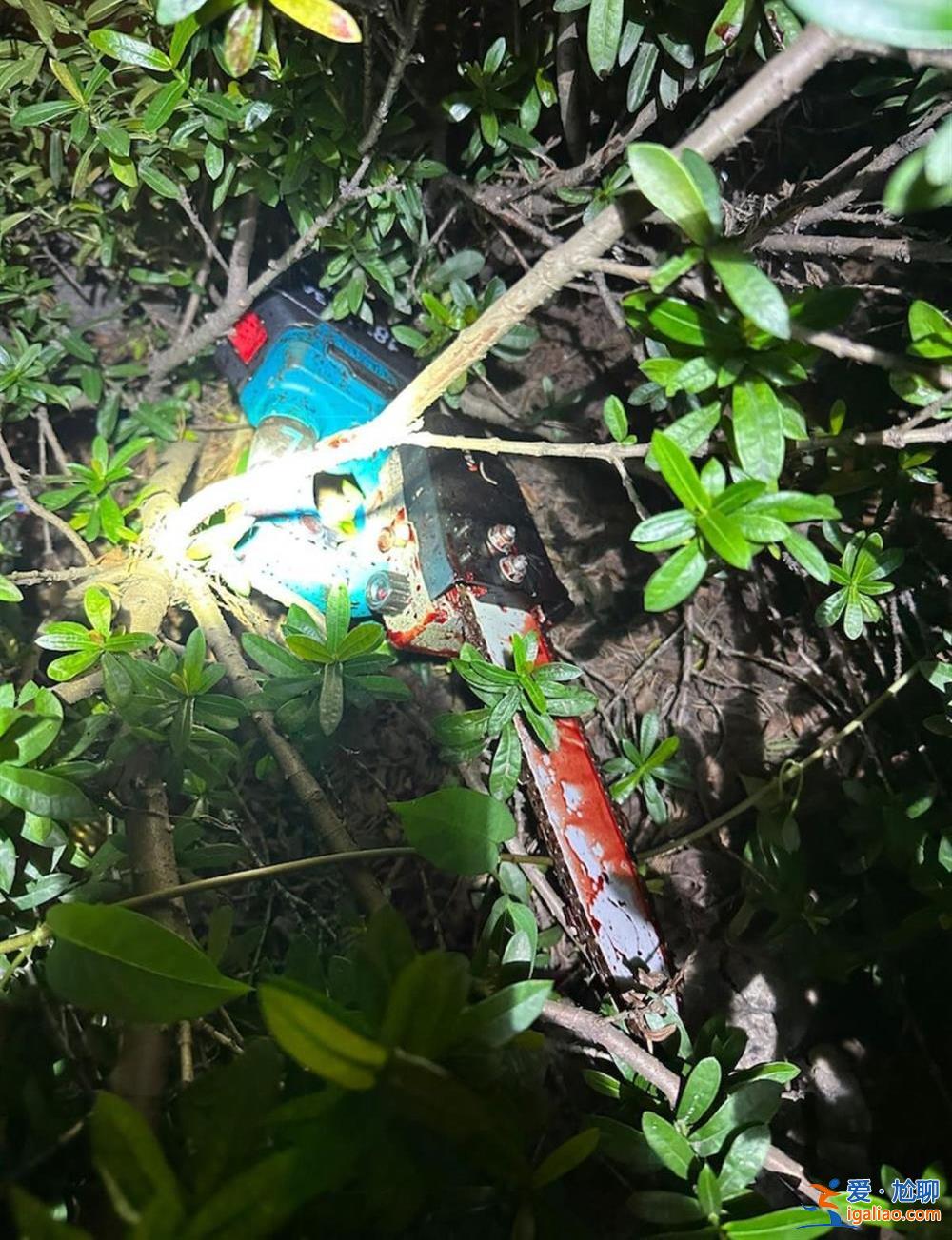 54岁女子毁容身亡 染血电锯遗留在草丛中？