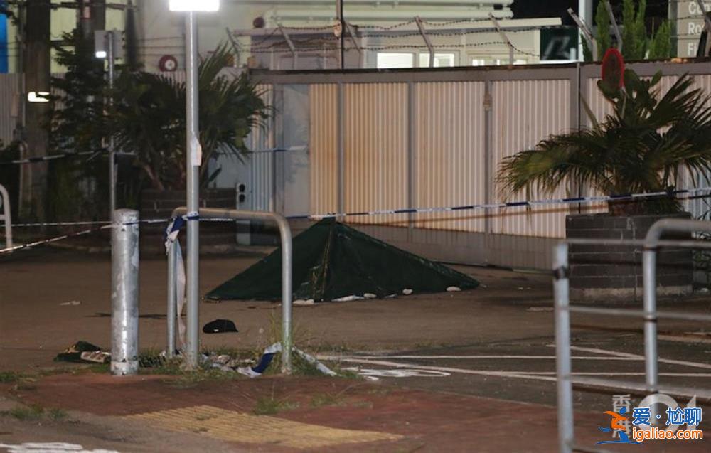 54岁女子毁容身亡 染血电锯遗留在草丛中？