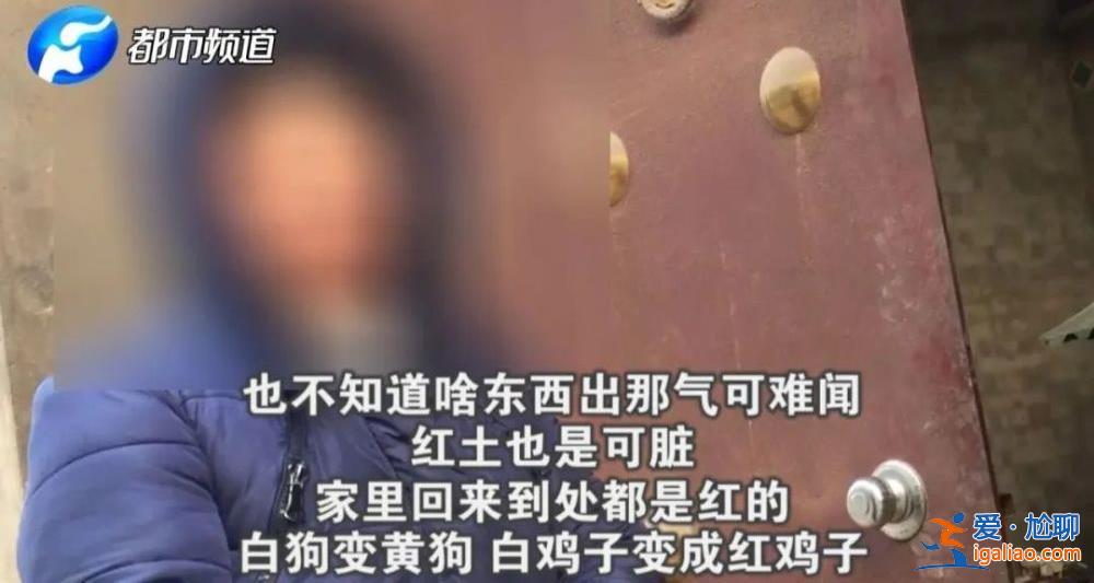 率队赴地方的68岁正部级“女将” 在《新闻联播》出镜？